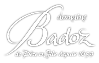 Logo Badoz