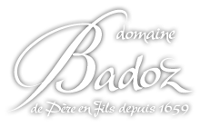 Logo Badoz